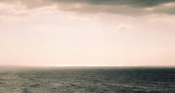 Frappes en mer des Caraïbes : jusqu’où peut reculer l’État de droit